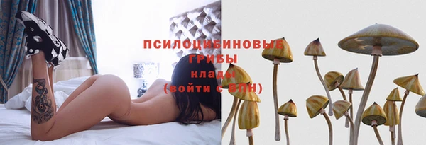 экстази Богородск
