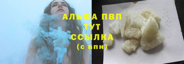 гидра Бородино