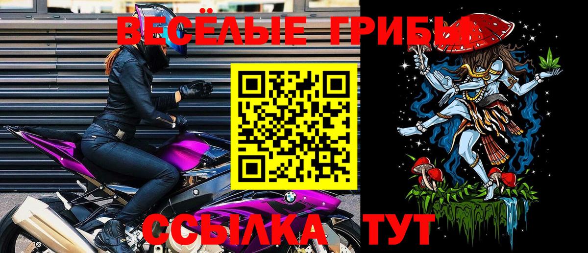 Псилоцибиновые грибы мухоморы Воркута